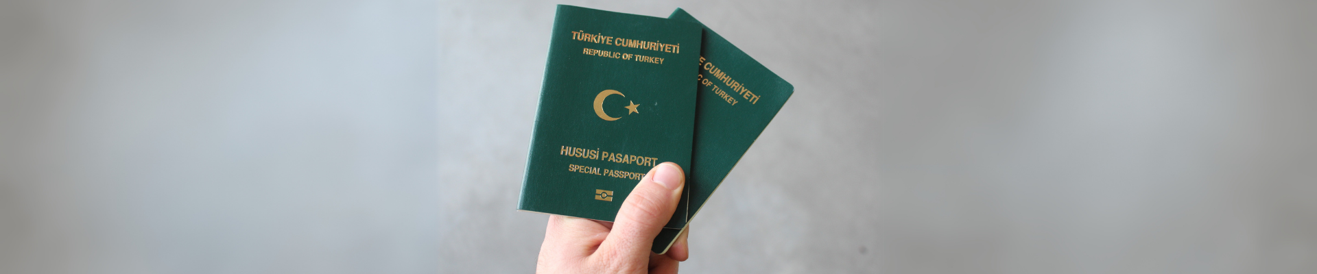 Yeşil Pasaport Nedir?